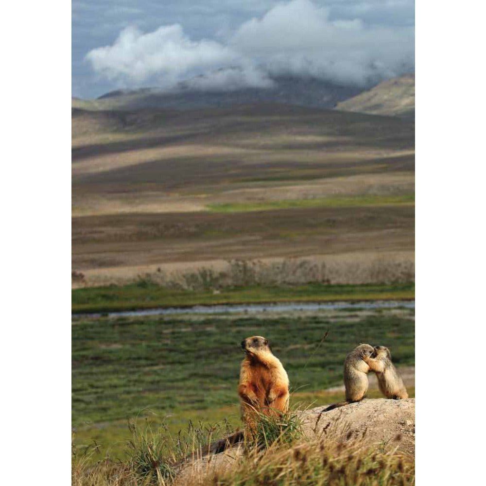 Deosai: Land Of The Giant