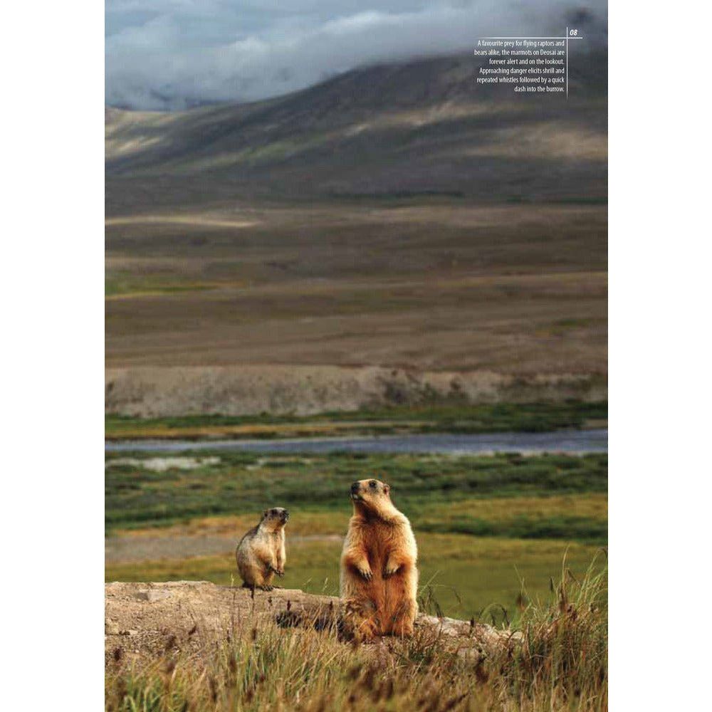 Deosai: Land Of The Giant