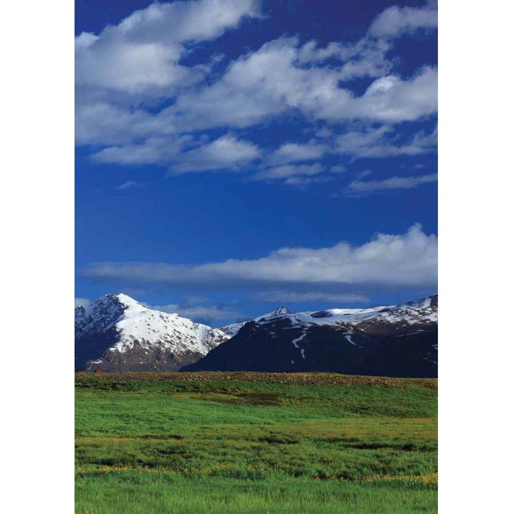 Deosai: Land Of The Giant