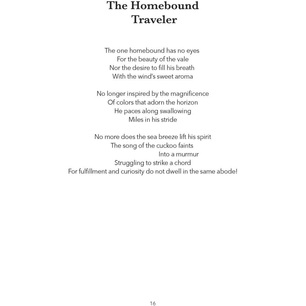 The Frozen Lake - Mazhar Nisar