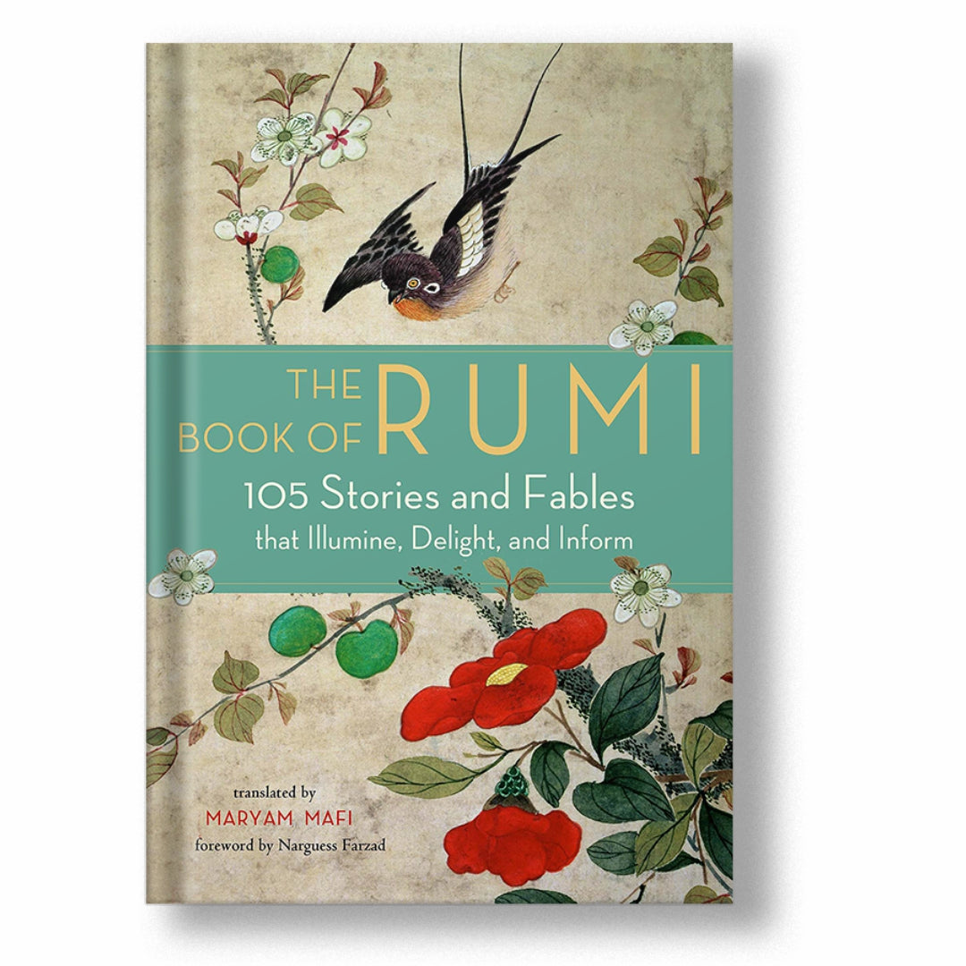 Rumi 105 Stories And Fables