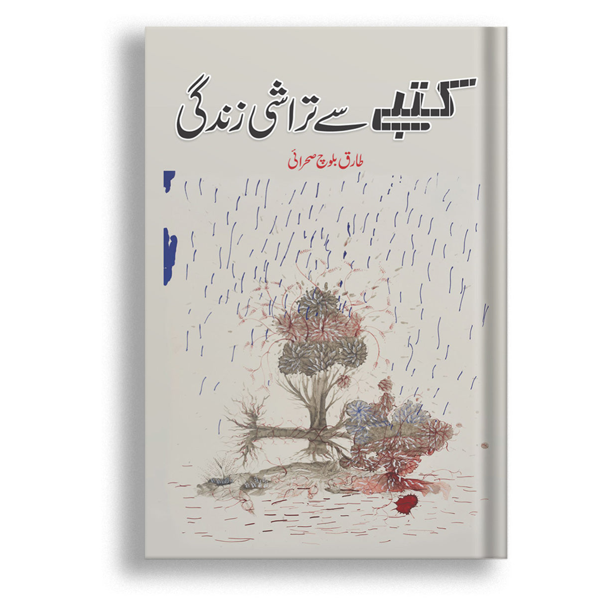 katbay sy tarashi zindagi