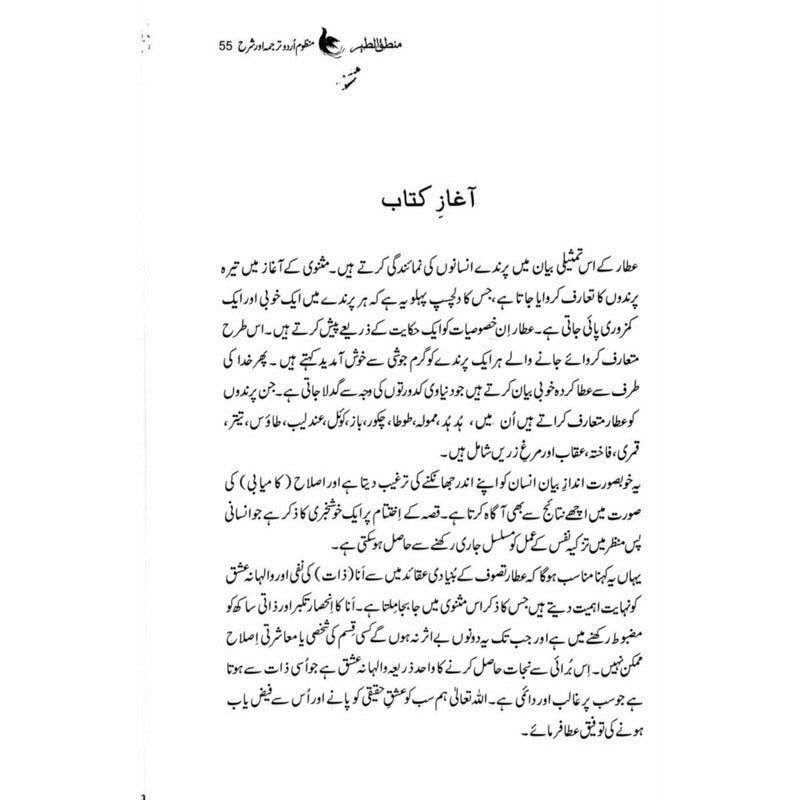 Mantiq ul Tair: Ik Raaz-e-Shanasai - Muhammad Saleem Sethi