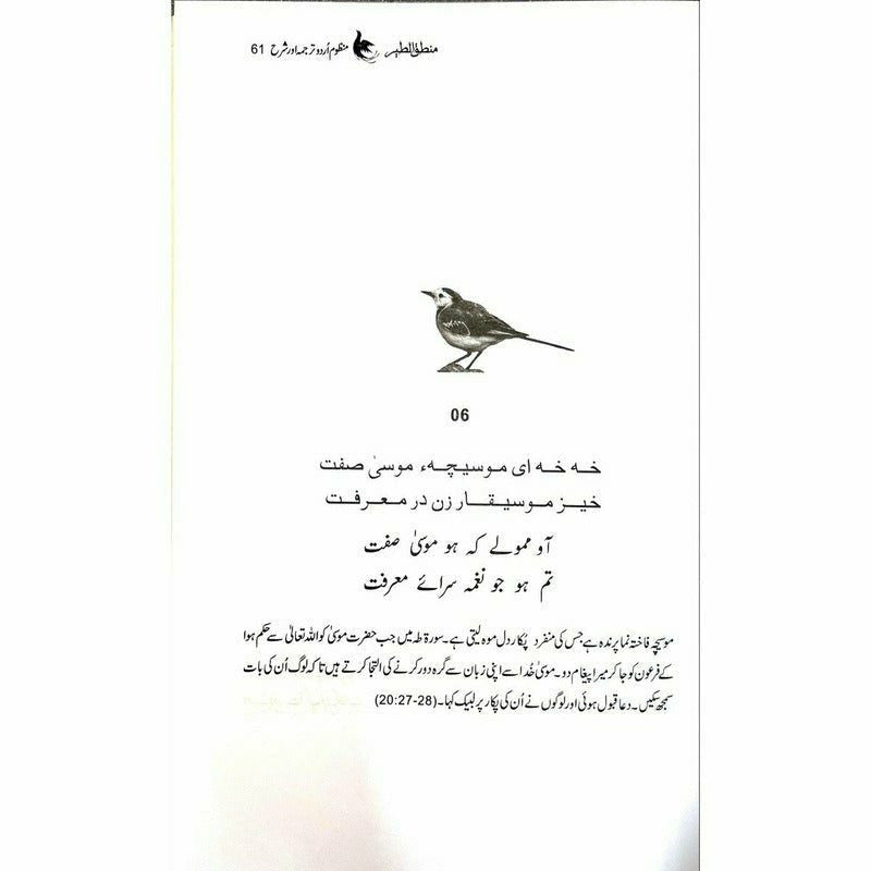 Mantiq ul Tair: Ik Raaz-e-Shanasai - Muhammad Saleem Sethi