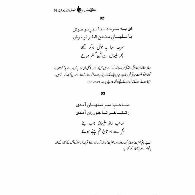 Mantiq ul Tair: Ik Raaz-e-Shanasai - Muhammad Saleem Sethi