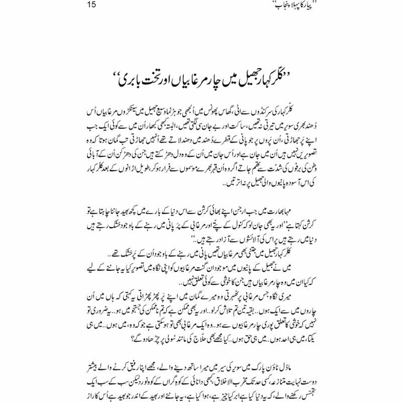 Pyar Ka Pehla Punjab: Nau Din Punjab Kay