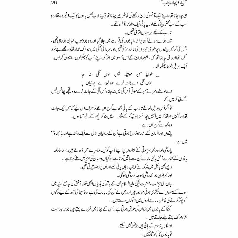 Pyar Ka Pehla Punjab: Nau Din Punjab Kay